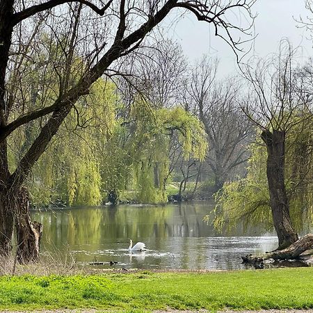 Strasbourg, Appartement Cosy Au Bord De L Eau Eksteriør billede