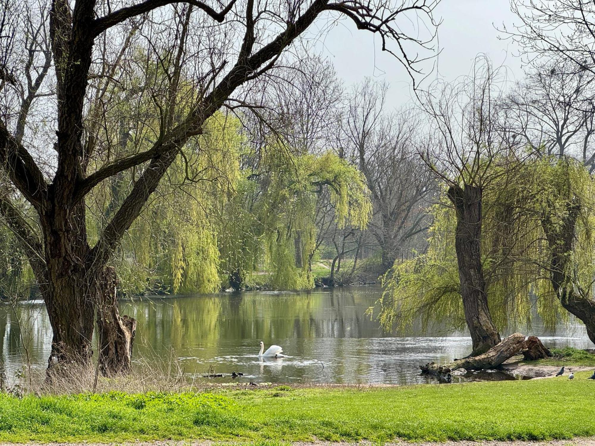Strasbourg, Appartement Cosy Au Bord De L Eau Eksteriør billede